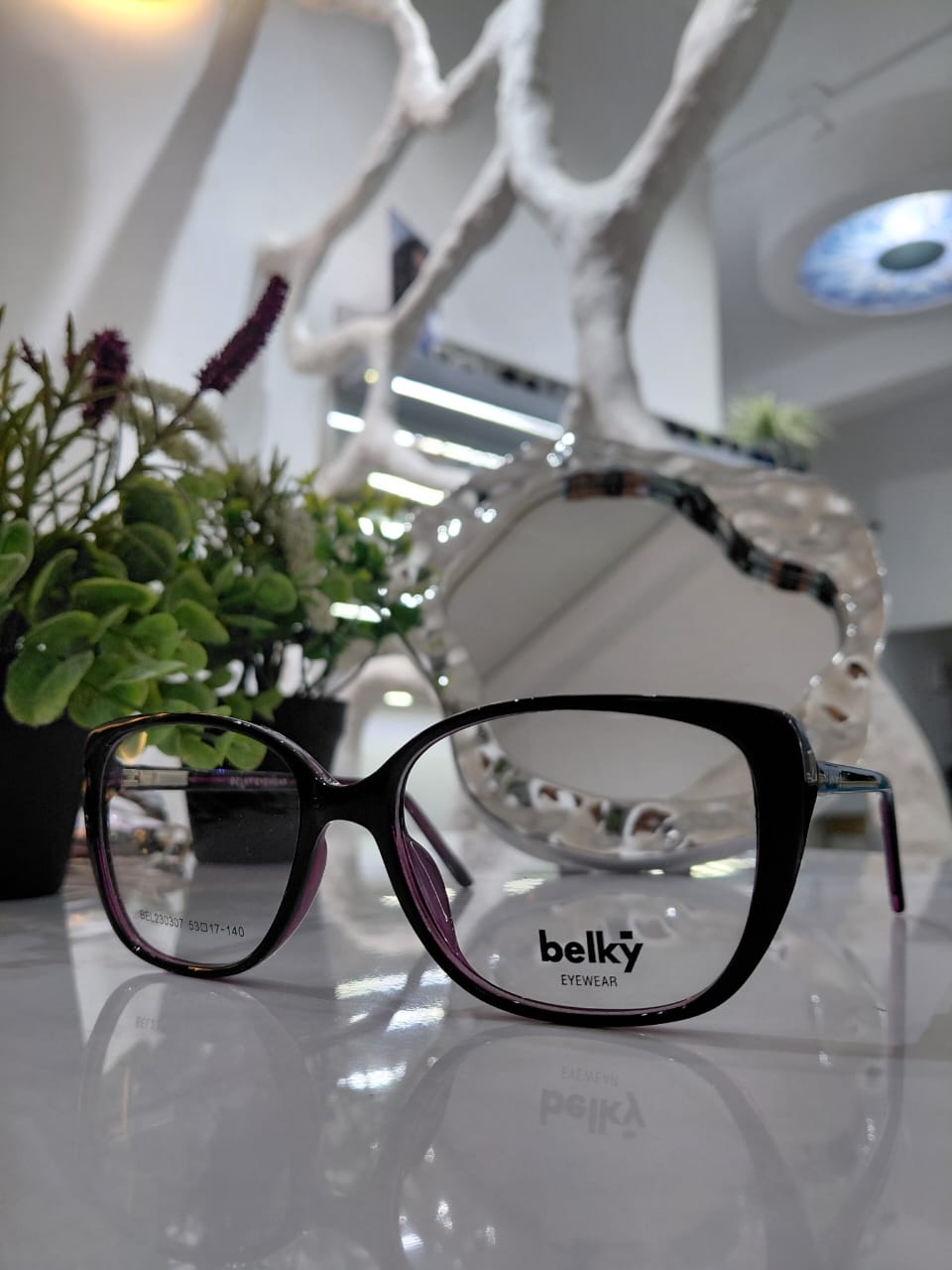 BELKYS 