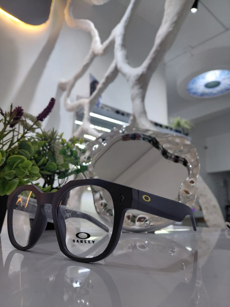 OAKLEY GRIS 